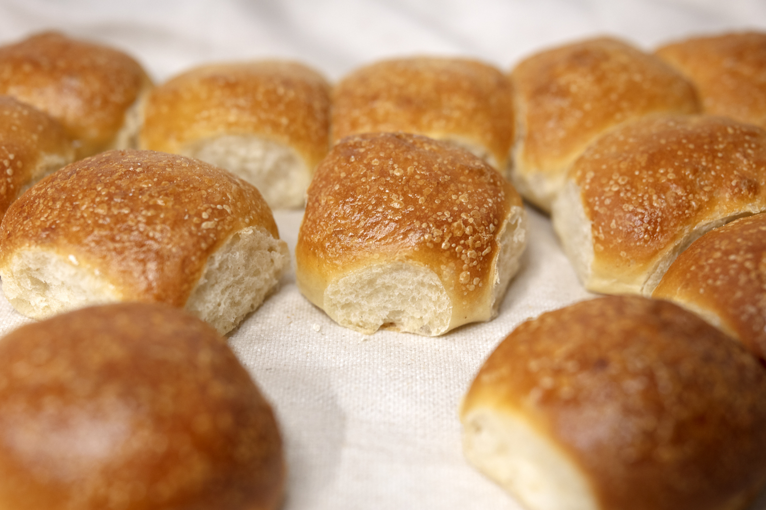 Bola brioche da Tibórnia Padaria